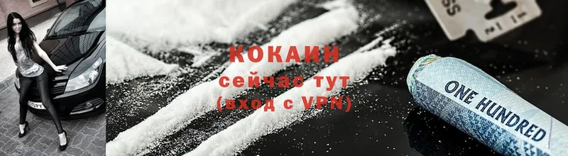 купить наркотики цена  Жуковка  COCAIN FishScale 