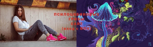 мет Дмитриев